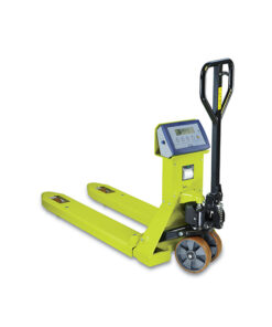 Pramac GS/P 25S4 mit Drucker